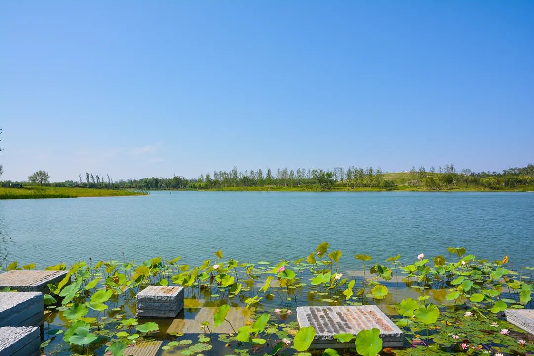 新開！北京最大綠色生態公園，山水田園 江南風光 景中有景！免費！ 旅遊 第30張