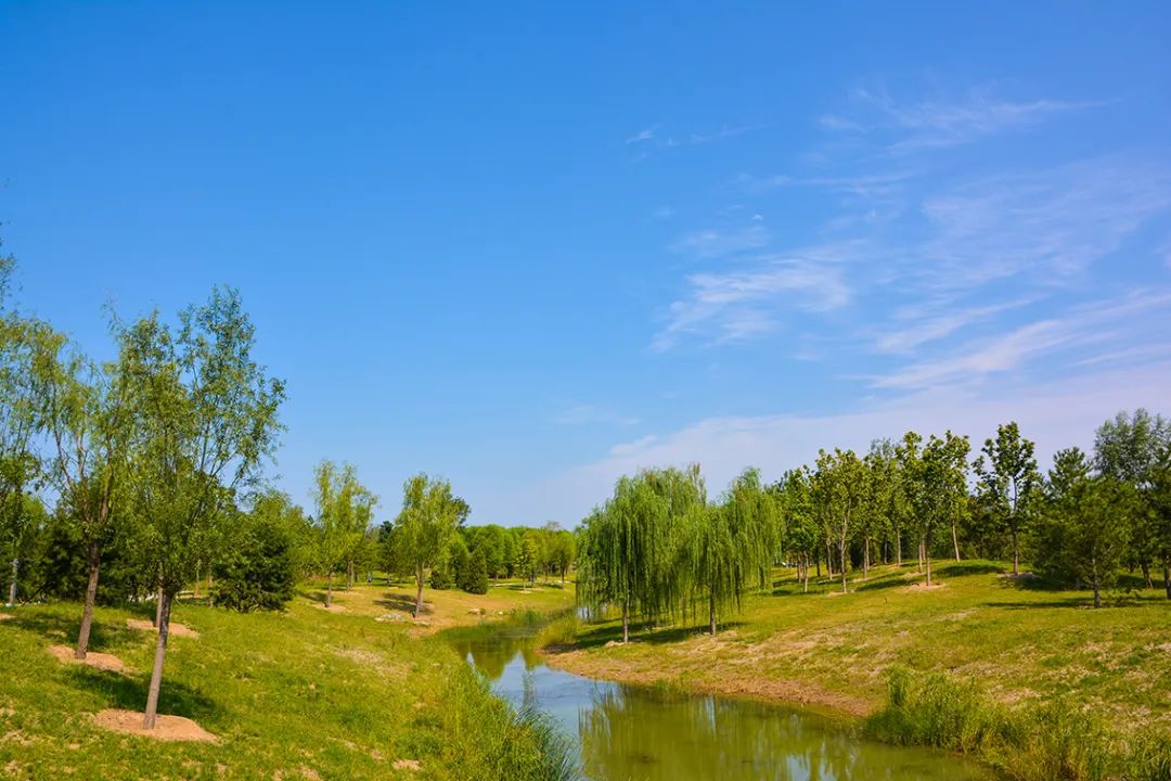 新開！北京最大綠色生態公園，山水田園 江南風光 景中有景！免費！ 旅遊 第62張