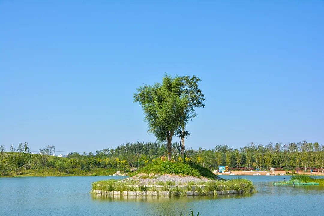 新開！北京最大綠色生態公園，山水田園 江南風光 景中有景！免費！ 旅遊 第7張