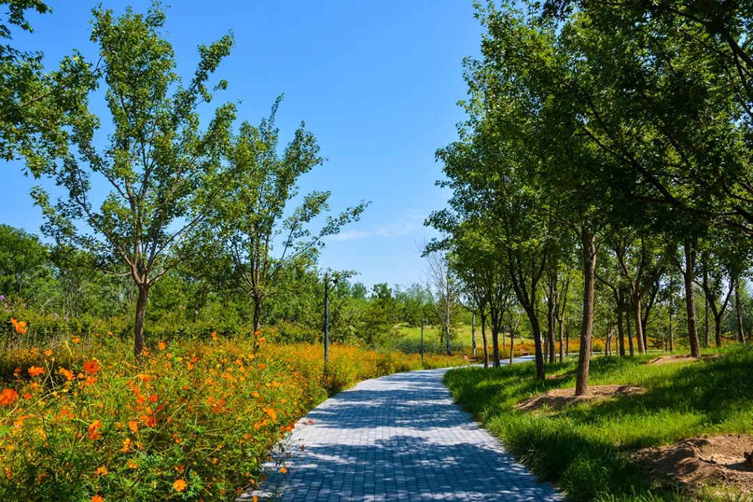 新開！北京最大綠色生態公園，山水田園 江南風光 景中有景！免費！ 旅遊 第16張