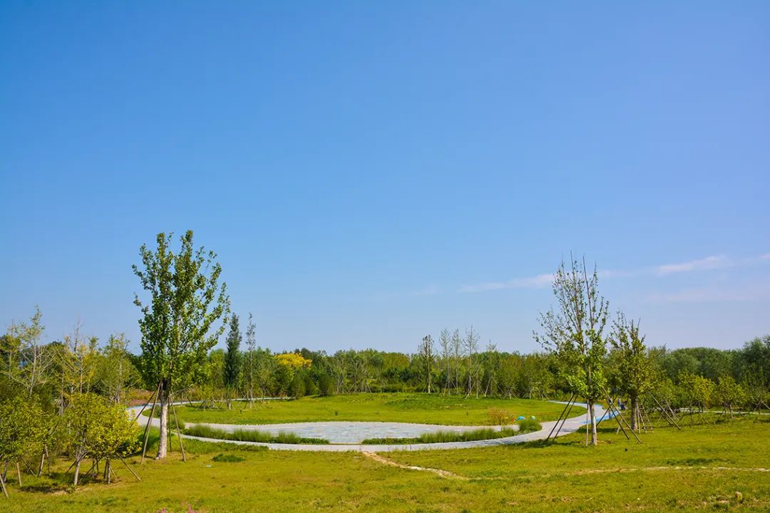 新開！北京最大綠色生態公園，山水田園 江南風光 景中有景！免費！ 旅遊 第80張