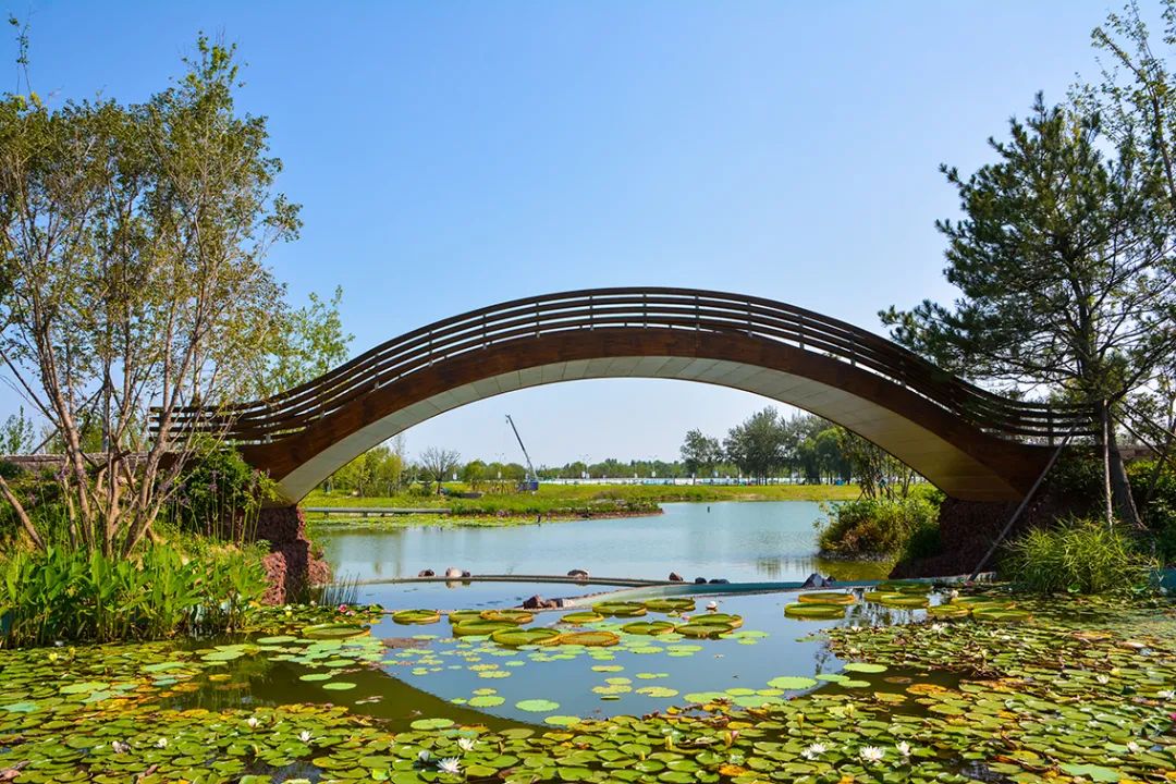 新開！北京最大綠色生態公園，山水田園 江南風光 景中有景！免費！ 旅遊 第43張