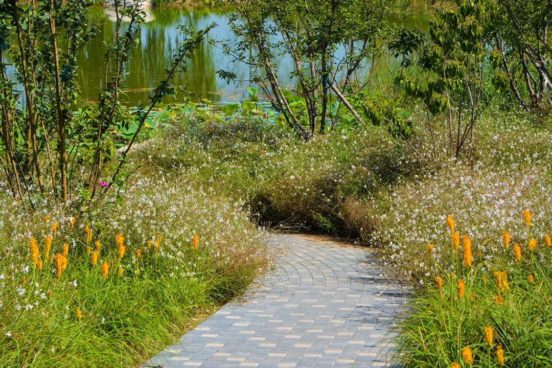 新開！北京最大綠色生態公園，山水田園 江南風光 景中有景！免費！ 旅遊 第15張