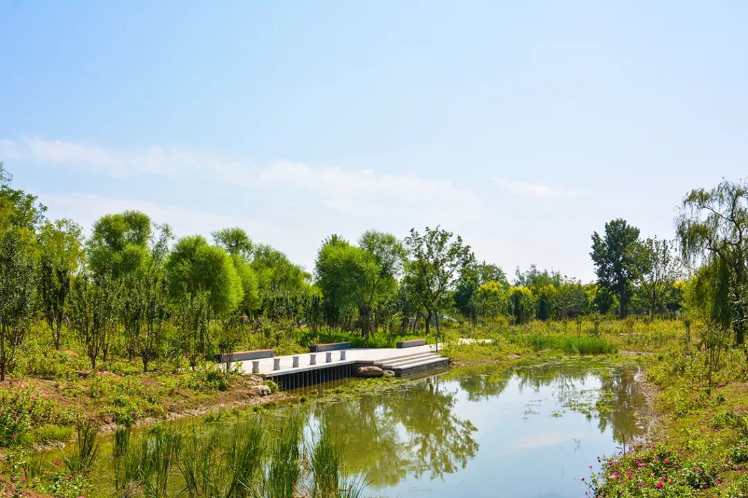 新開！北京最大綠色生態公園，山水田園 江南風光 景中有景！免費！ 旅遊 第100張