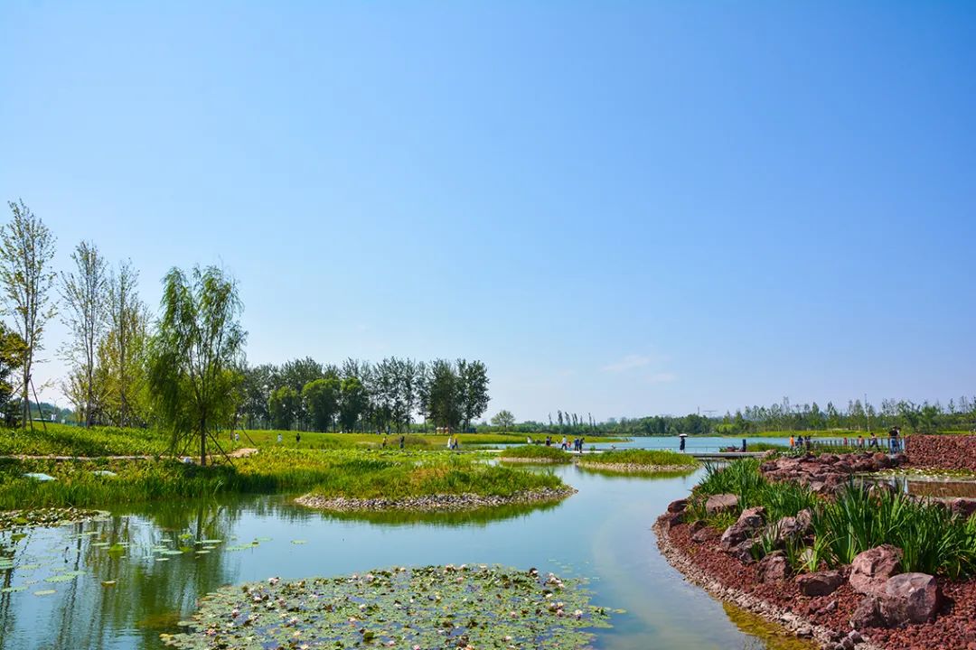 新開！北京最大綠色生態公園，山水田園 江南風光 景中有景！免費！ 旅遊 第6張