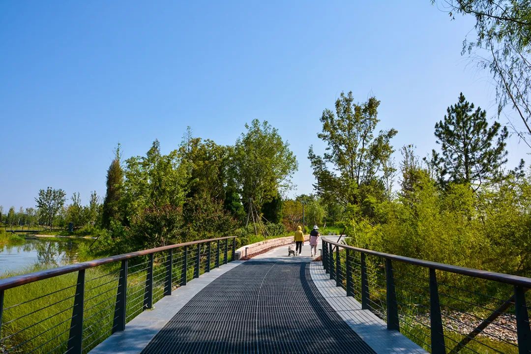 新開！北京最大綠色生態公園，山水田園 江南風光 景中有景！免費！ 旅遊 第41張