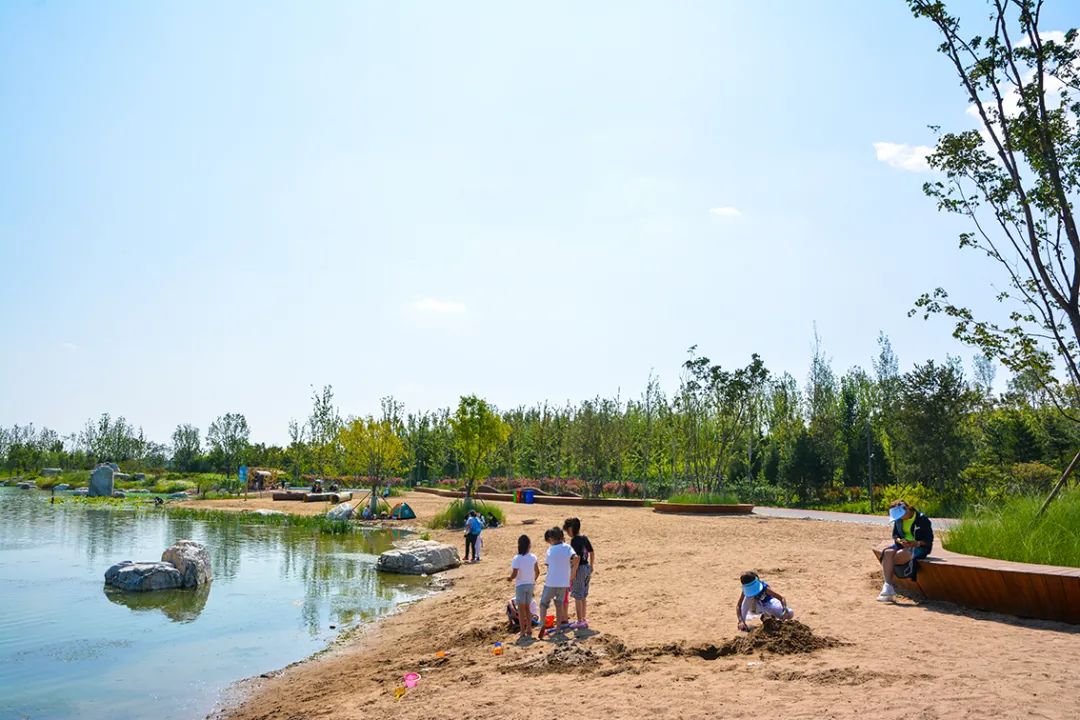 新開！北京最大綠色生態公園，山水田園 江南風光 景中有景！免費！ 旅遊 第48張