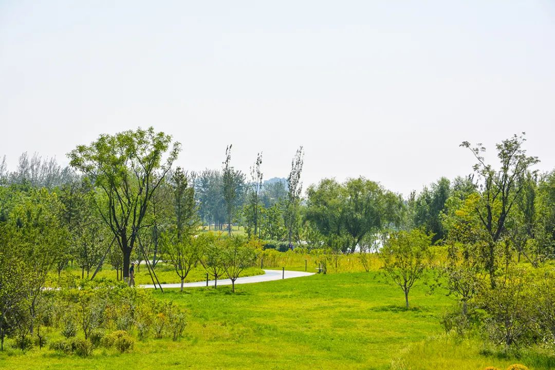 新開！北京最大綠色生態公園，山水田園 江南風光 景中有景！免費！ 旅遊 第53張