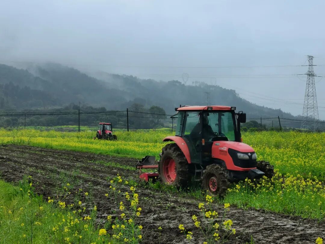 在希望的田野上灵川农机轰鸣奏响春耕进行曲