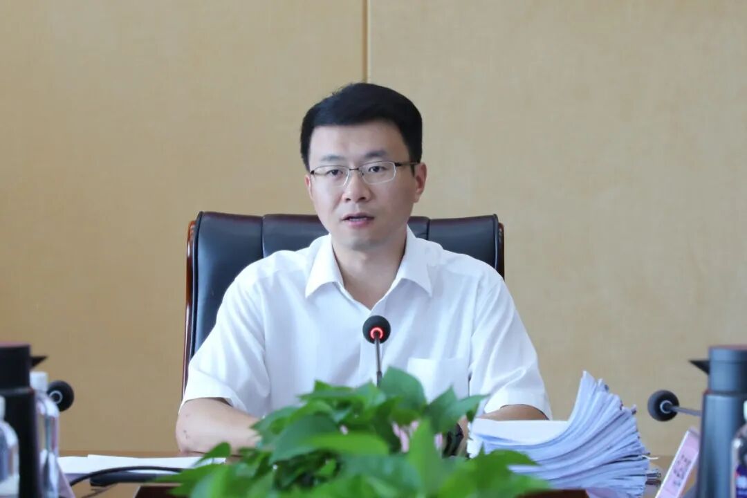 【新时代 新征程 新伟业】灵川:陈文彬主持召开第十五届政府第三十五