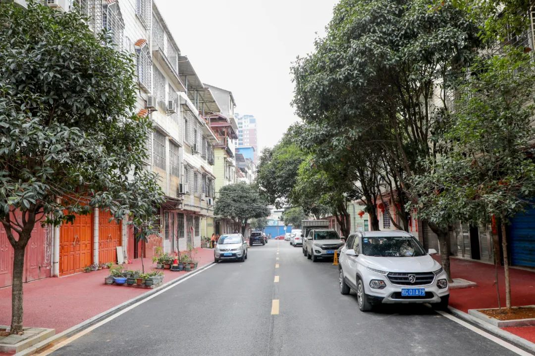 我为群众办实事灵川背街焕发新生态小巷改出大民生