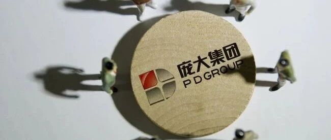 庞大重整1周年：利润转正但目前仅完成目标11%，它还能重回第一吗  | 经观汽车