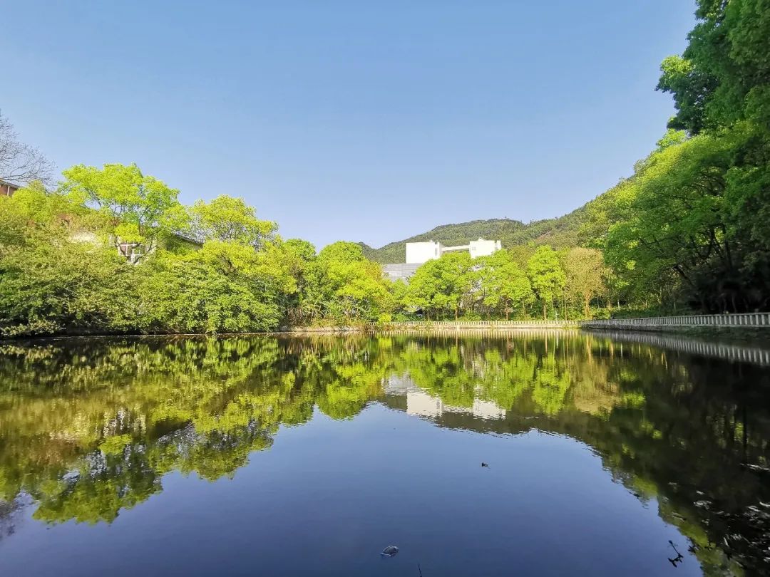 重庆科技学院的_重庆城市科技学院野鸡_重庆科技学院有好多学生