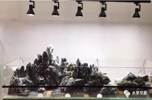 造景鱼缸水泵_鱼缸造景清洗_虎头鲨鱼缸造景壁纸