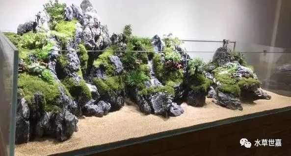 造景鱼缸水泵_鱼缸造景清洗_虎头鲨鱼缸造景壁纸