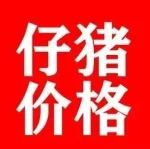 仔猪价格行情查询
