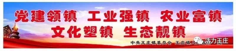 致富养羊能手资料_养羊致富经2020年全集_养羊致富经