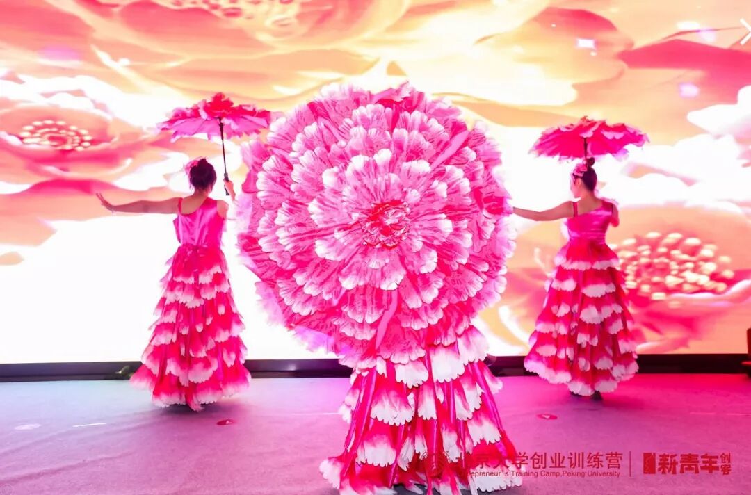 紫红泥·爱意生活之夜——北创营全国营友年会火热举办(图5)