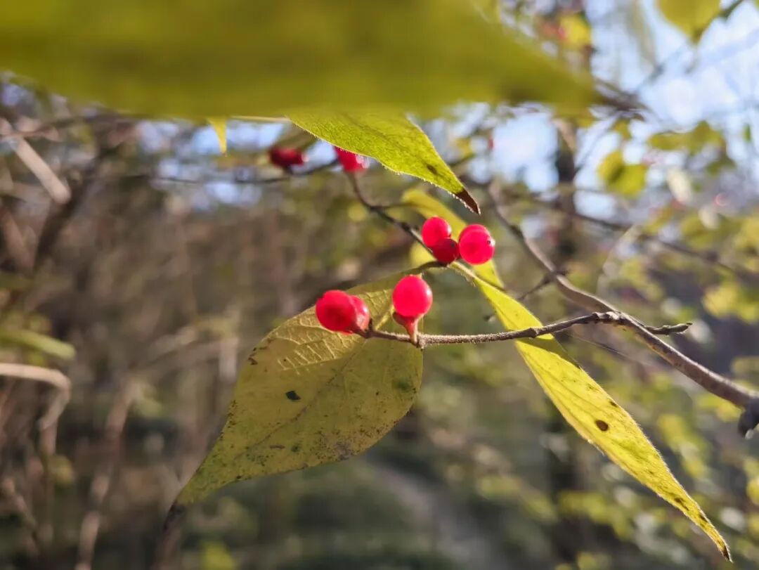 孩子病毒感冒别乱吃药了，抗生素也不行，提升免疫力才是王道！