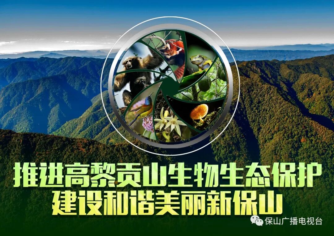 保山广播电视台