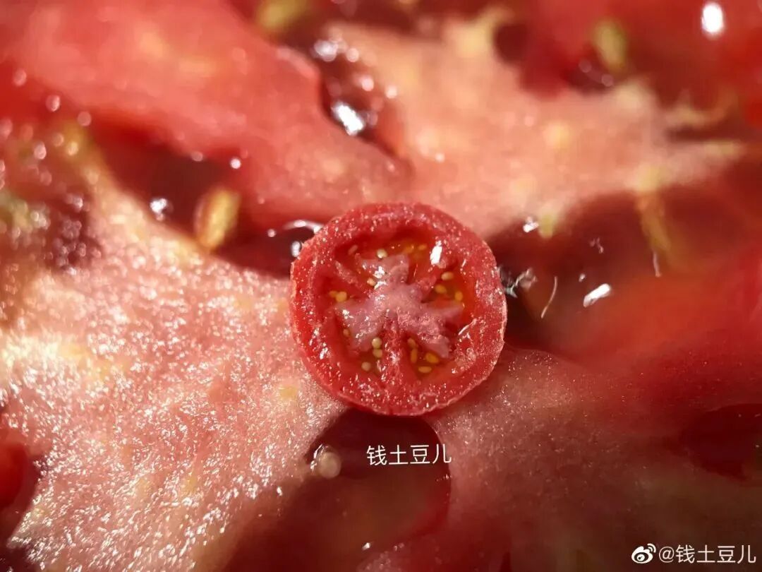 90后宝妈的“以假乱真”粘土作品，征服了几十万网友，获得疯狂怒赞！（组图） - 27