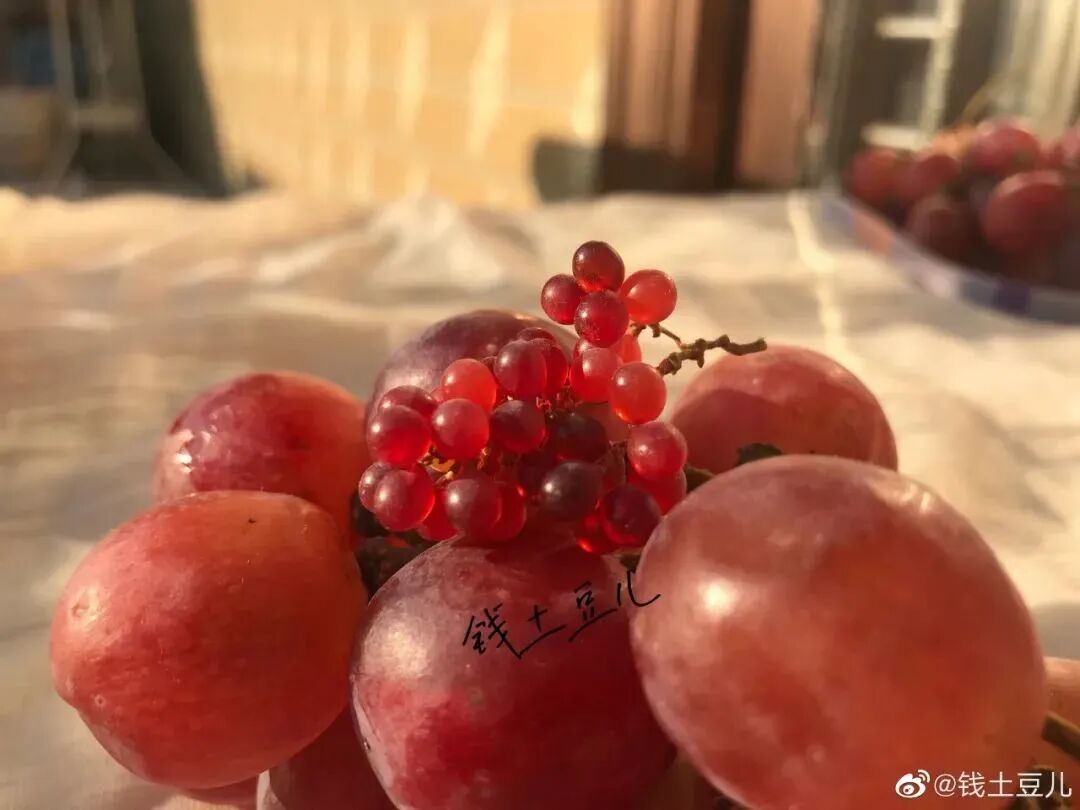 90后宝妈的“以假乱真”粘土作品，征服了几十万网友，获得疯狂怒赞！（组图） - 5