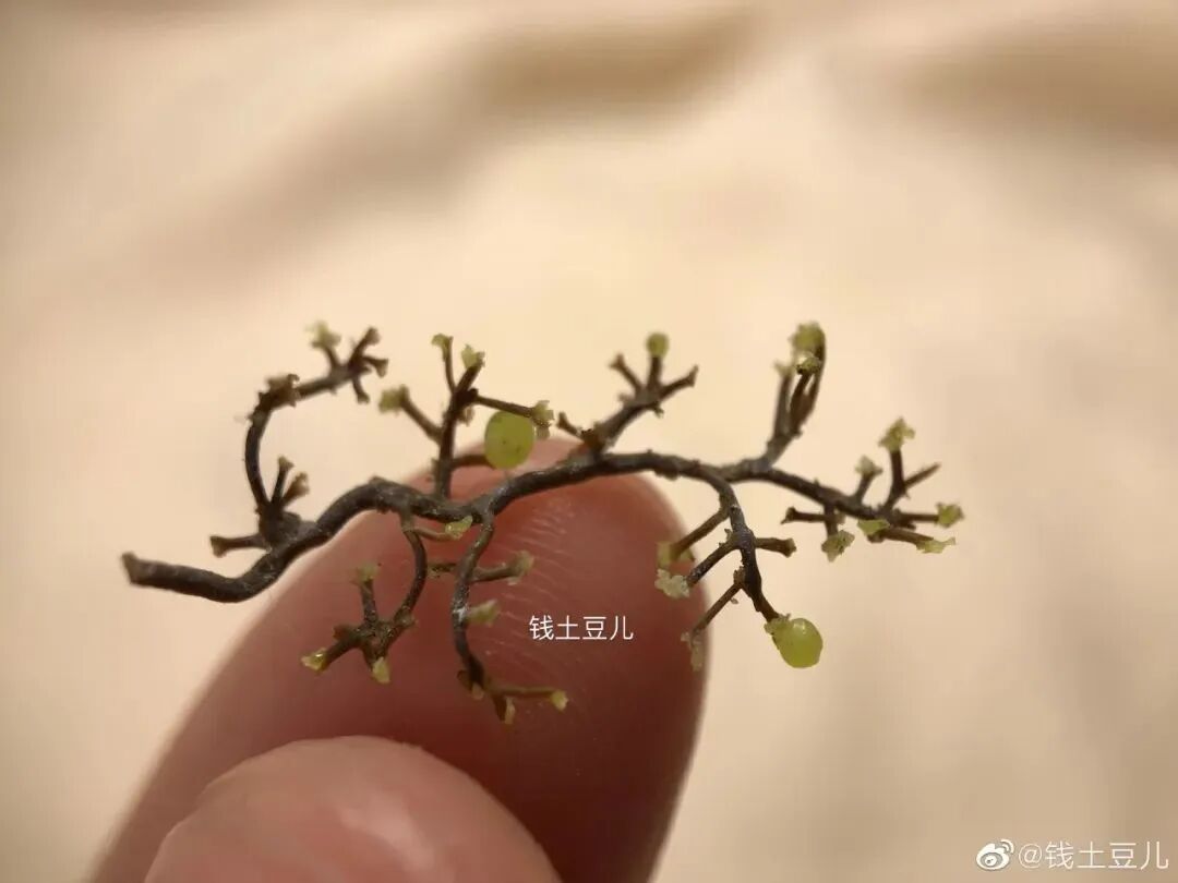 90后宝妈的“以假乱真”粘土作品，征服了几十万网友，获得疯狂怒赞！（组图） - 22