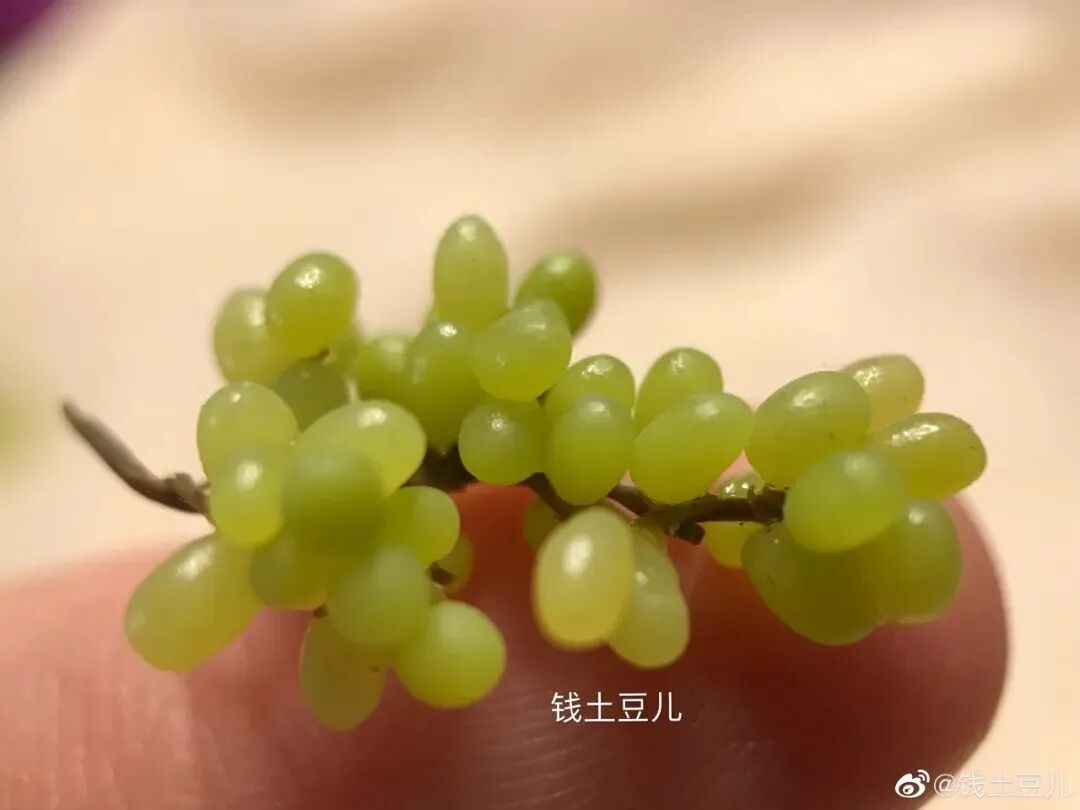 90后宝妈的“以假乱真”粘土作品，征服了几十万网友，获得疯狂怒赞！（组图） - 23