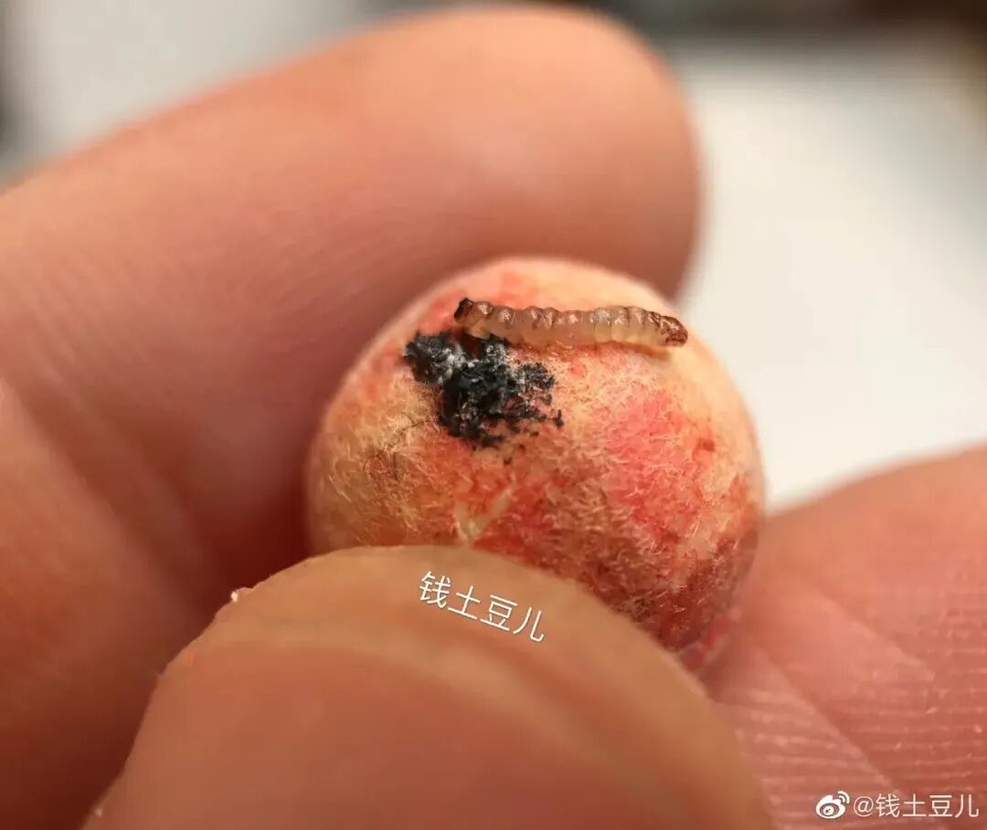90后宝妈的“以假乱真”粘土作品，征服了几十万网友，获得疯狂怒赞！（组图） - 14