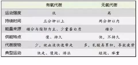 无氧运动_运动无氧好还是有氧好_运动无氧和有氧的区别