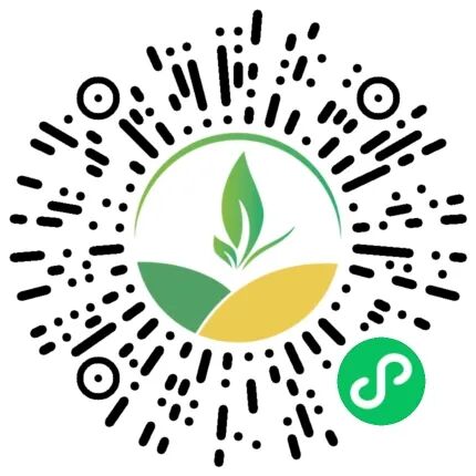 使用uni-app从零开发一款视频小程序 (系列上 准备工作篇)