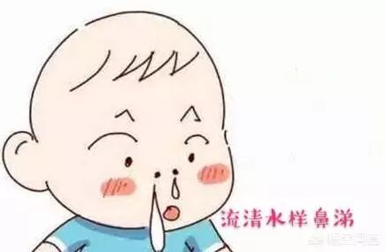 风寒感冒的中成药选择