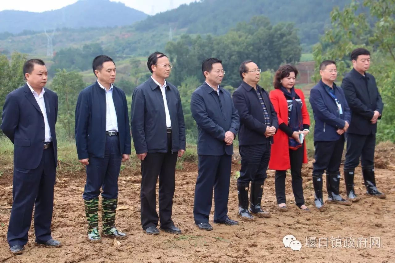 演晓刚出席堰口镇油用牡丹基地建设开工仪式