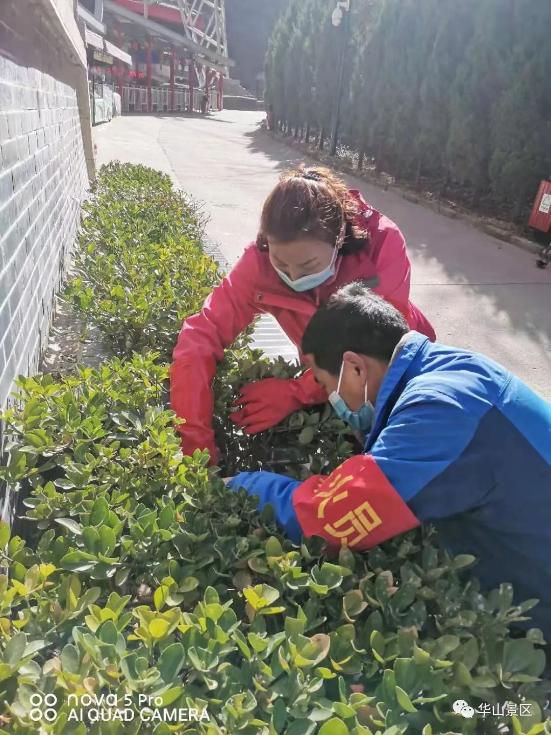 台湾旅游淡季和旺季_马尔代夫旺季旅游_华山迎旅游旺季