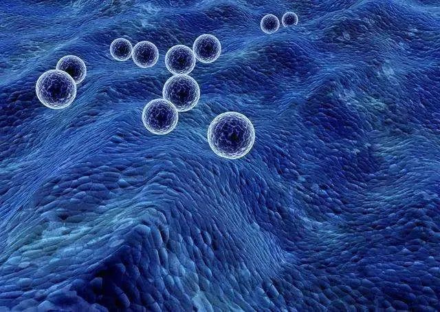 微信图片_20220601162439