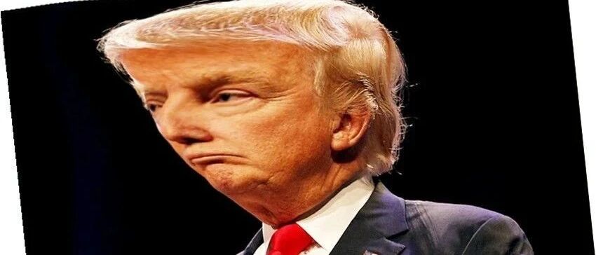 不祥之兆？小狗耳内长出特朗普侧脸像，五官俱全，还是标志性金发！