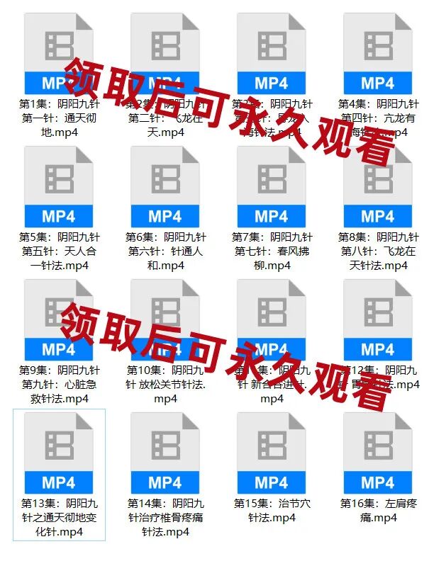 导什么针什么作用【免费领取】重磅！《阴阳九针》视频课程全集，抓紧收藏_https://www.jmylbn.com_新闻资讯_第3张