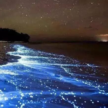 隔壁省爆发罕见赤潮,慎食贝类海鲜!福建已启动二级灾害应急响应!