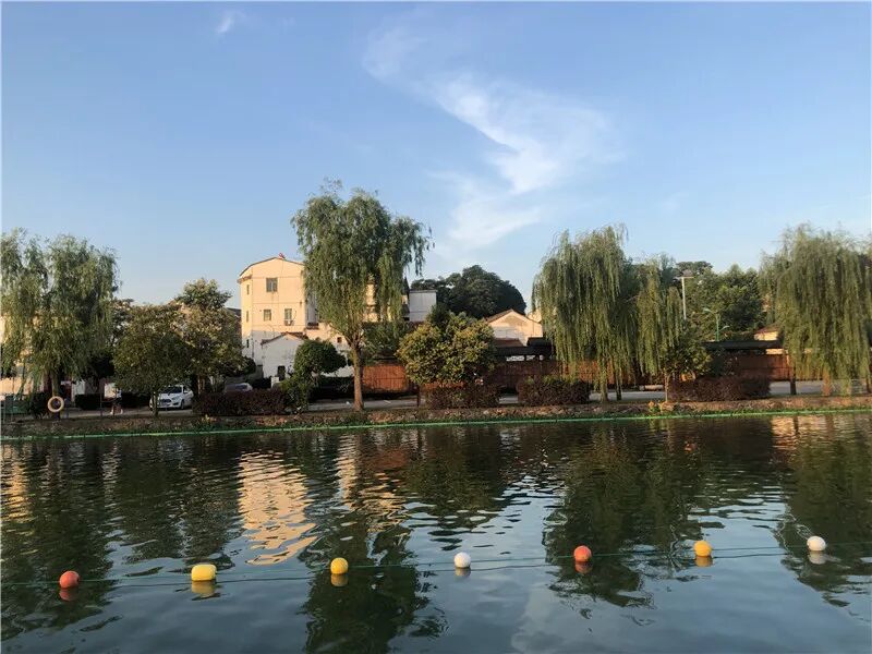 玲珑传说官网下载,玲珑传说官网首页