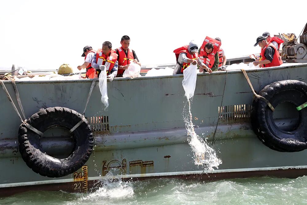 拥抱蓝色海洋珍爱生命摇篮江苏各地检察机关加强海洋环境保护