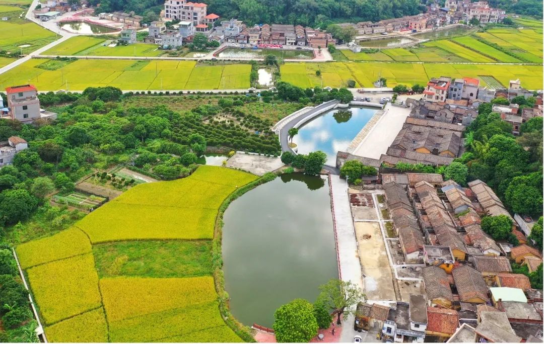 广州市增城区正果镇人民政府政府信息公开