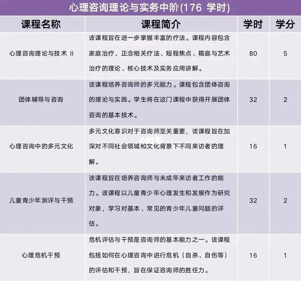 课程包括以下四个模块:心理咨询理论与实务初阶,心理咨询理论与实务中