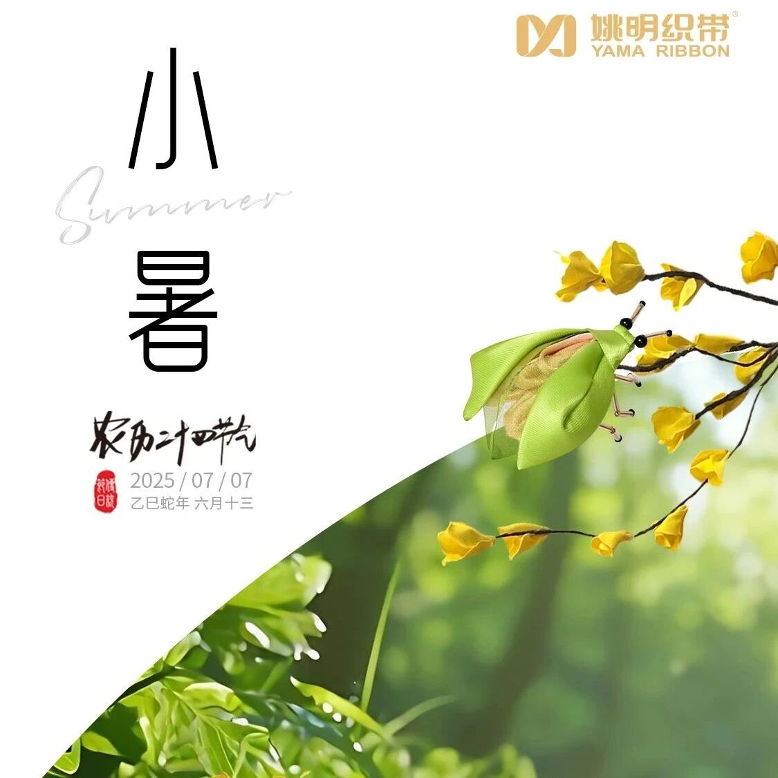 【姚明祝福】小暑|薰风愠解引新凉,小暑神清夏日长~