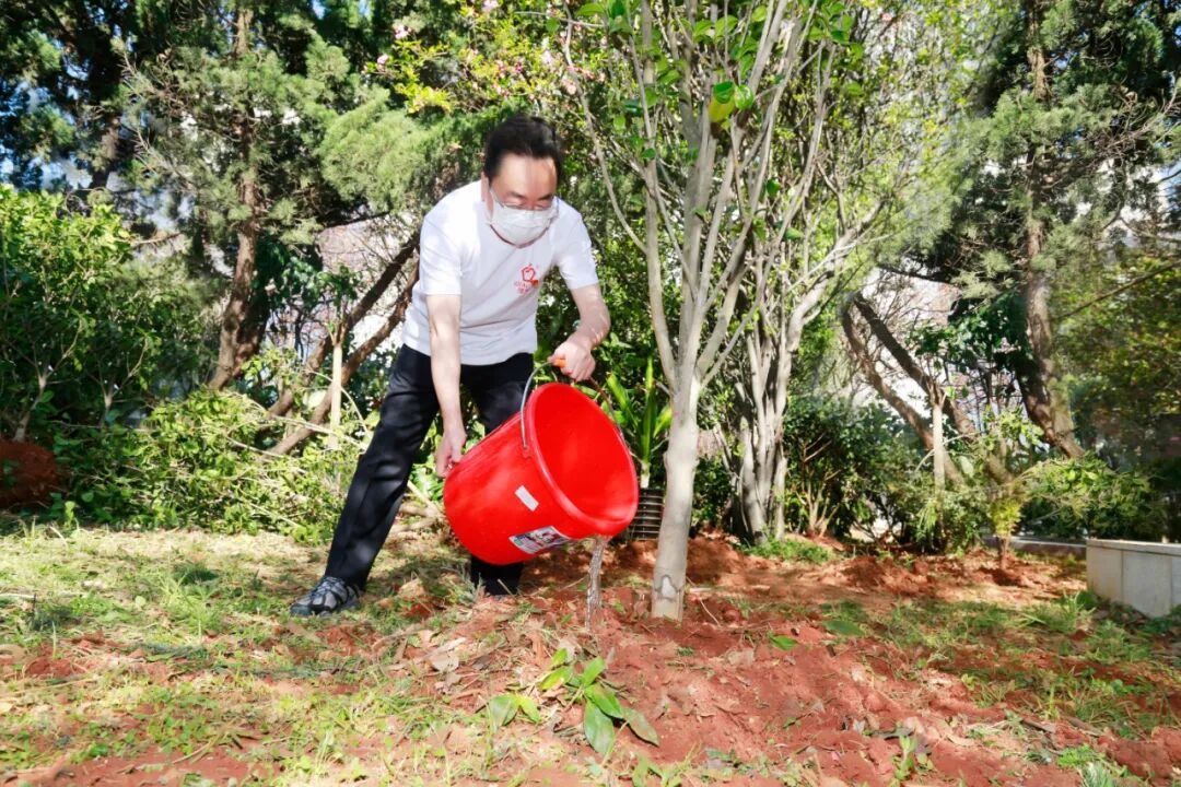 播种理想，收获成果！第六届“理想种树日”圆满举行