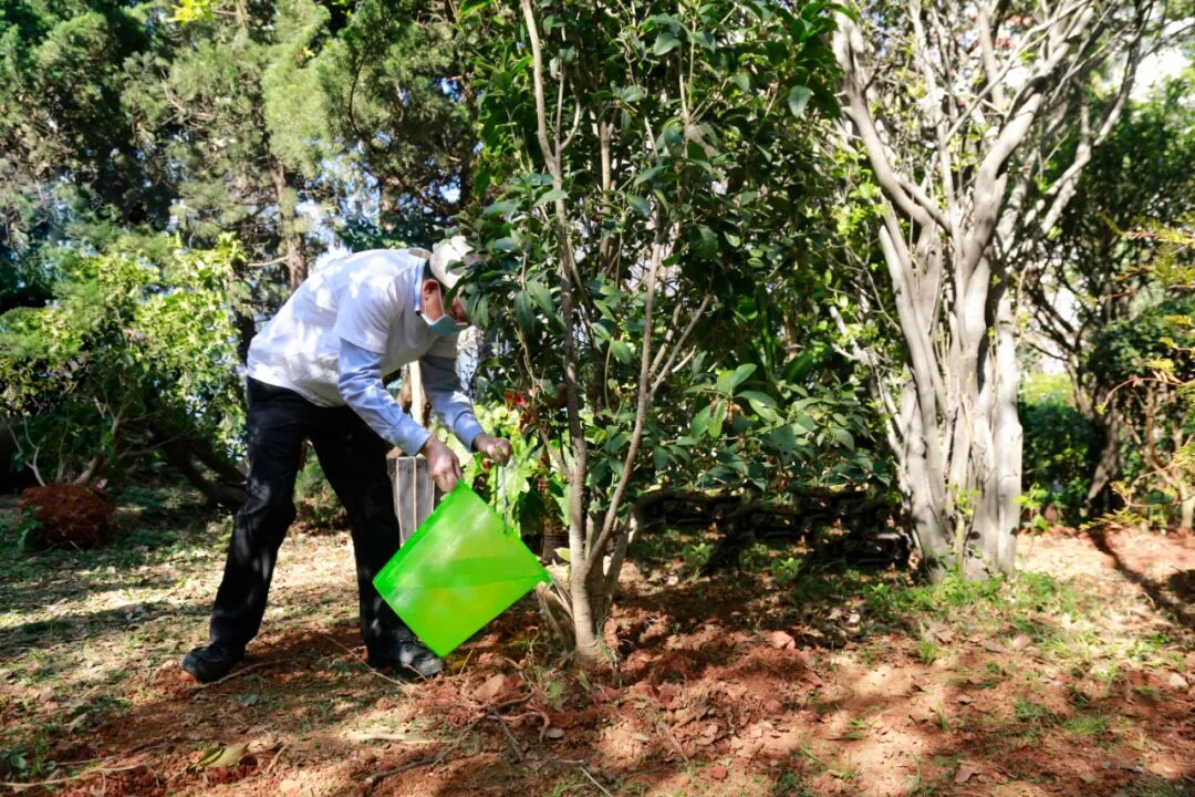 播种理想，收获成果！第六届“理想种树日”圆满举行