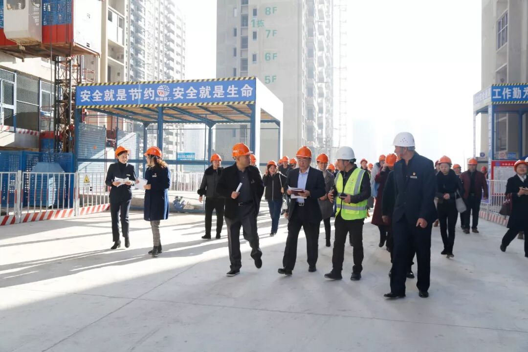 理想焦家良参加调研龙院上峰村民回迁房建设工作