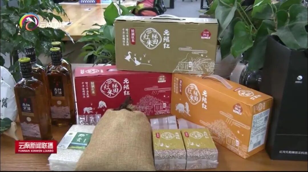 云南省委副书记王予波莅临元阳梯田云视察指导，助力云品出滇