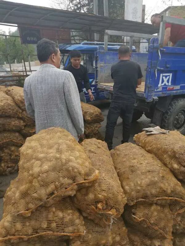 云南省委副书记王予波莅临元阳梯田云视察指导，助力云品出滇