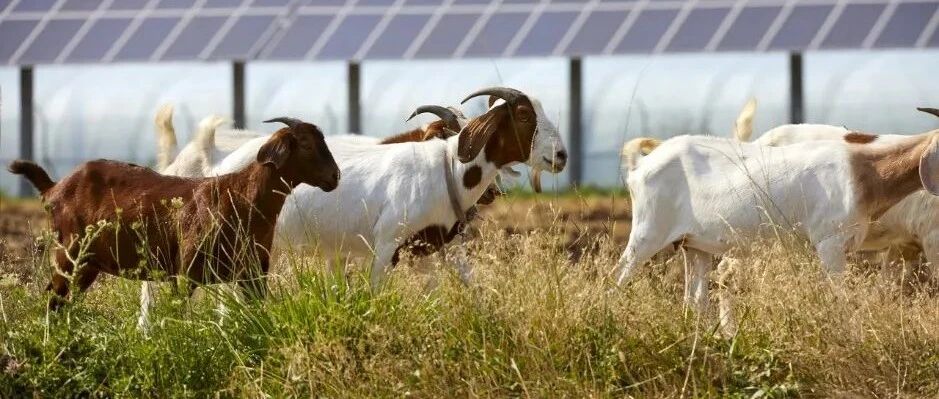 首富倒下，行业重生