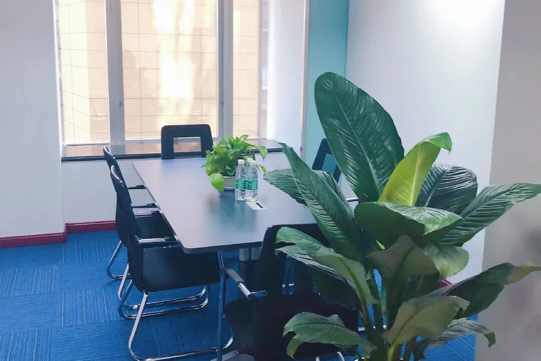 新干线教育集团